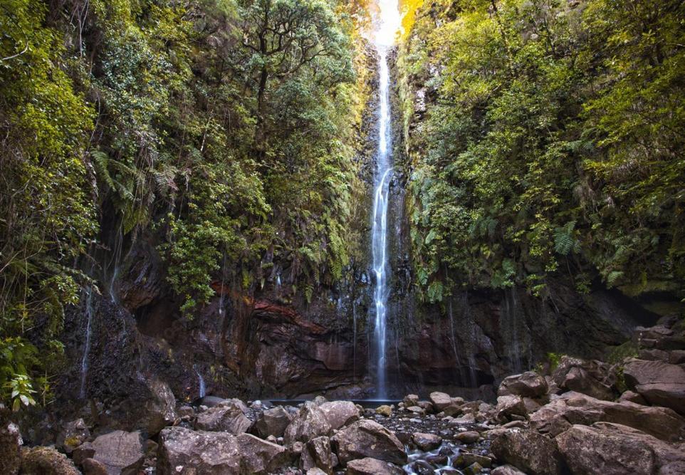 Vakantiehuis Roraima House - Private Pool & Garden Calheta (Madeira)